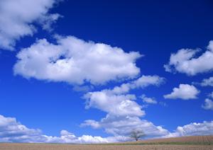 静岡県掛川市の信頼と実績の葬儀場【富士葬祭 掛川】完全ガイド