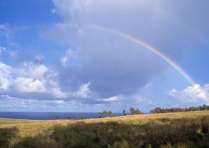 静岡市清水区の家族葬専門ホール【家族葬のタクセル西久保】 – 安心価格でゆったりとした葬儀を実現