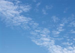 静岡市の安心・信頼の葬祭サービス｜富士葬祭 清水の特徴と店舗情報